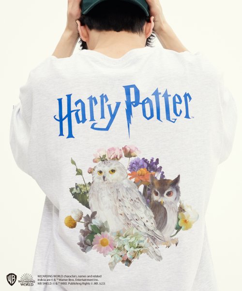 韓國Romantic Crown - [HP X RMTC] OWL FLOWER T-SHIRTS_LIGHT GREY